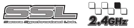 SSL logo 2