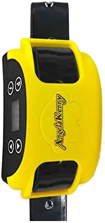 WELLTURN F800 GPS Outdoor Wireless Dog Fence System