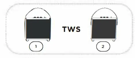 aiwa-RS-X-SO-Diviner-FIG-5