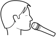 SENNHEISER E935 Handheld Dynamic Microphone 01 A