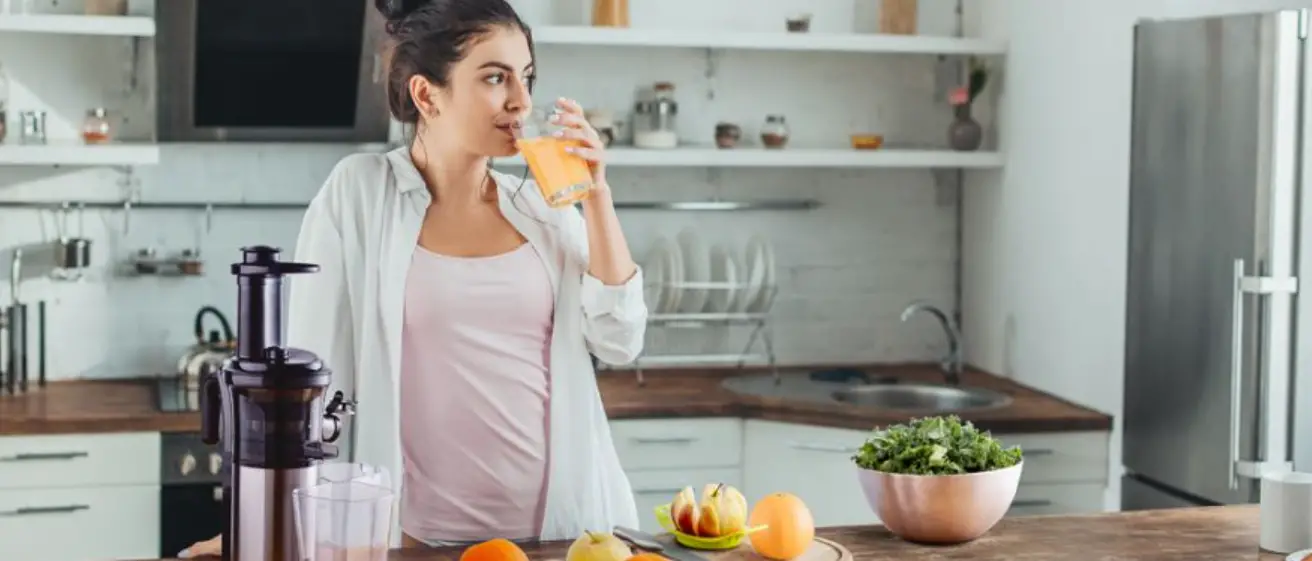 Eldom Pj400 Perfect Juicer Instruction Manual Eldom Pj400 Perfect Juicer Instruction Manual