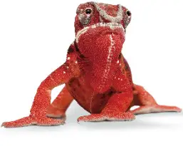 ELATEC TWN3 Legic NFC USB - ICON 2