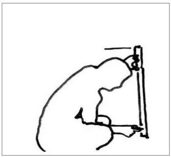 cerasonar-4062-Sub-Series-Invisible-Speaker-Fig1