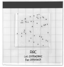 impex MC Media Pad Rapid Aerobic Count - Interpretation