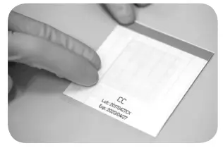 impex MC Media Pad Rapid Aerobic Count - edges