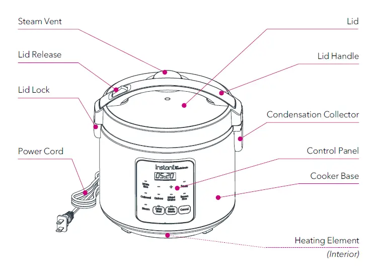 Zest Rice & Grain Cooker