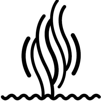 Cuisinart CSO-300NXA Combo Steam PLUS Convection Oven 13