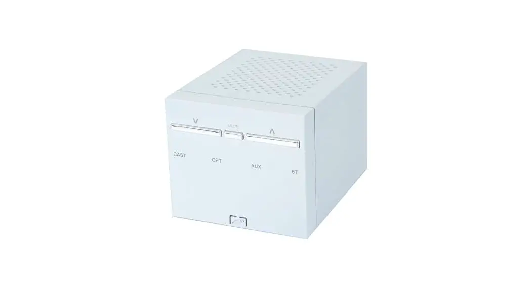 Vanguard Dynamics Vail Cast Universal Streaming Amplifier User Manual