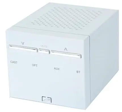 VANGUARD DYNAMICS Vail Cast Universal Streaming Amplifier