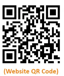 Losei TWS-K2 Wireless Headset User Manual