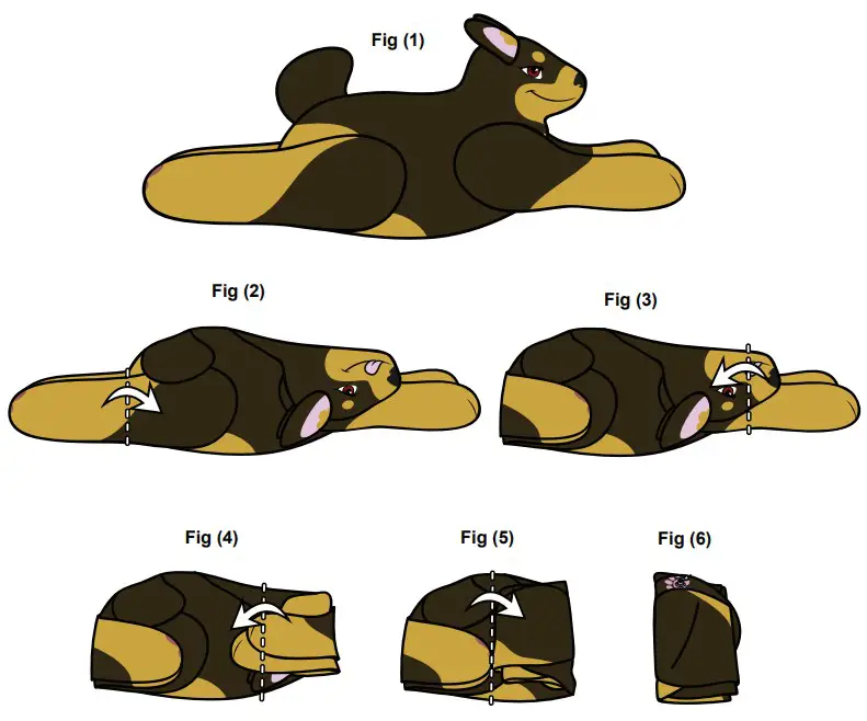 PhenodToy Kara Inflatable Folding img01