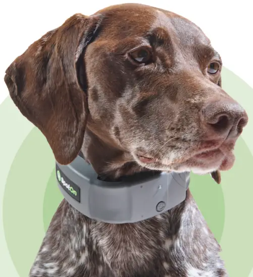 SpotOn GPS Fence Dog Collar Fence