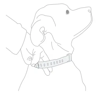 SpotOn GPS Fence Dog Collar Fence - Fit the collar