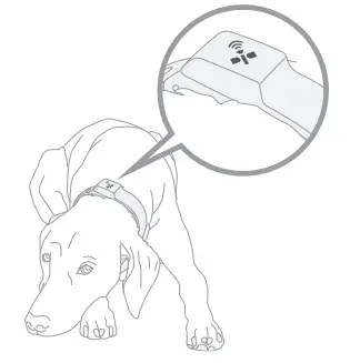 SpotOn GPS Fence Dog Collar Fence - GPS