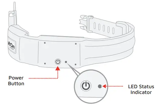 SpotOn GPS Fence Dog Collar Fence - Turn the collar on