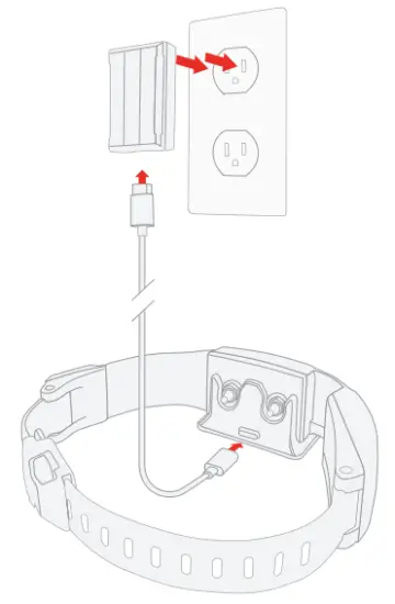 SpotOn GPS Fence Dog Collar Fence - connected