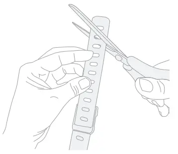 SpotOn GPS Fence Dog Collar Fence - strap