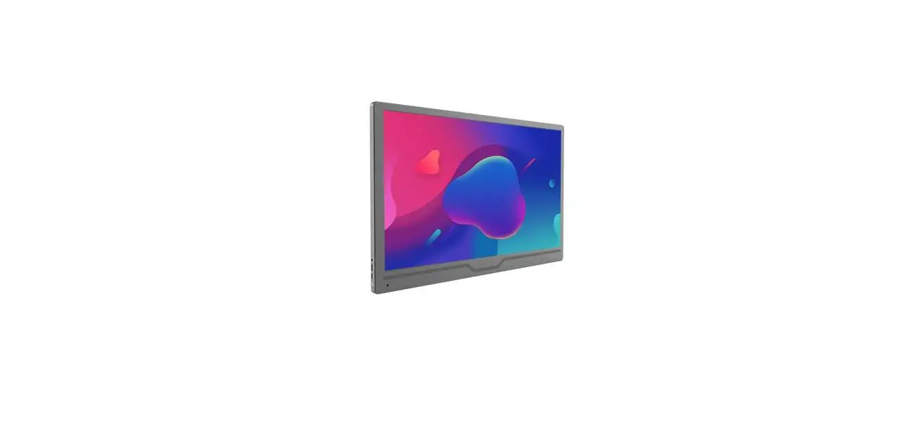 Vissles M2 Portable Monitor User Manual Vissles M2 Portable Monitor User Manual