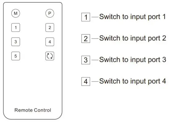 FIG 10 IR Remote Control.JPG