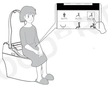 WOODBRIDGE BID 01 Remote Control - Set auto function