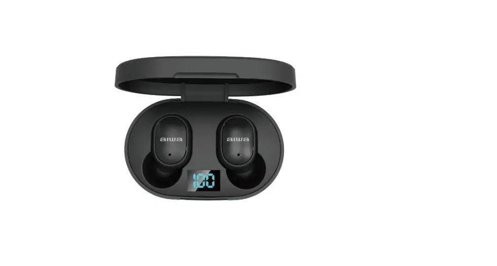 Aiwa Ancb7 True Wireless Earbuds User Guide