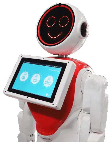 AKIN-ROBOTICS-MINI-ADA-Social-Robot-1