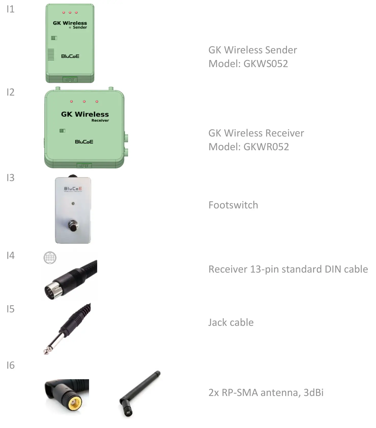 BluCoE GKWS052 GK Wireless System - Included items