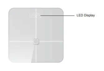 TRANSTEK GBF-2008-B3 Body Fat Analyzer fig2