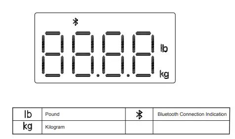 TRANSTEK GBF-2008-B3 Body Fat Analyzer fig4