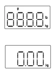 TRANSTEK GBF-2008-B3 Body Fat Analyzer fig5
