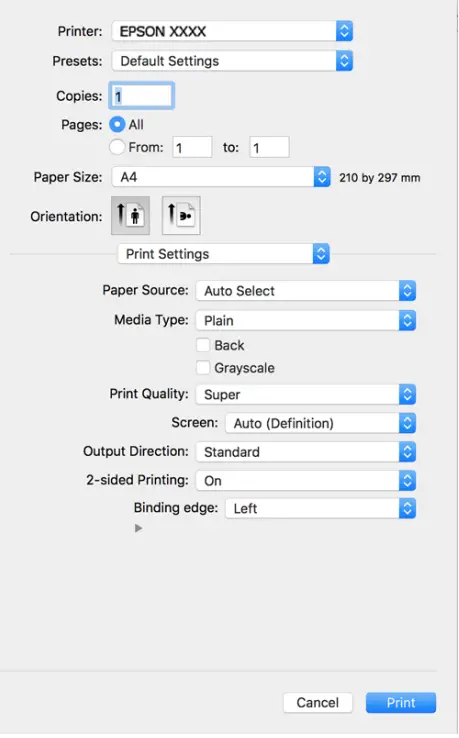 EPSON-AL-C9500DN-Print-Amin-ServerlessFIG-9