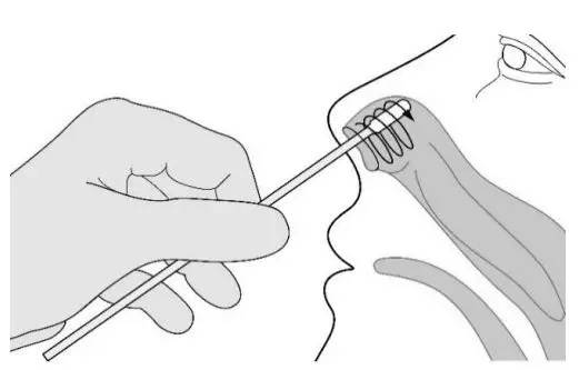 QUIDEL QuickVue At-Home OTC COVID-19 Test Kit Instruction Manual - COLLECTING A SAMPLE