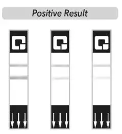 QUIDEL QuickVue At-Home OTC COVID-19 Test Kit Instruction Manual - Positive Result