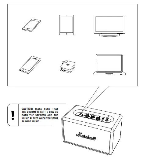 USING THE ACTON BLUETOOTH