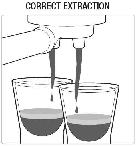 Sage SES450 The Bambino Edelstahl FIG 17