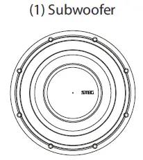 STEG-SQ8-4-HIGH-PERFORMANCE-SLIM-8-INCH-DUAL-VOICE-COIL-SUBWOOFER-1