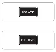 DONNER EC3300 STARRYKEY 25 MIDI Keyboard Controller with PP and Electronic Components - PAD bank