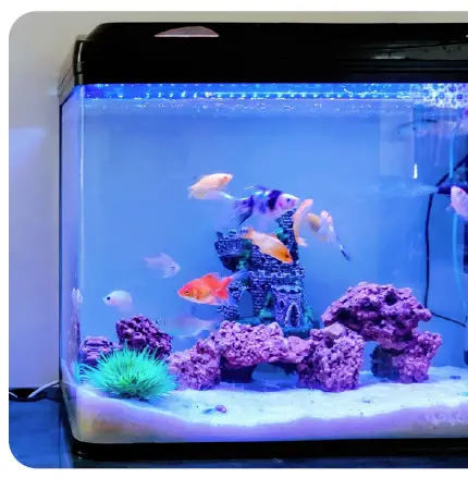 Hombli Smart Socket EU fig 6