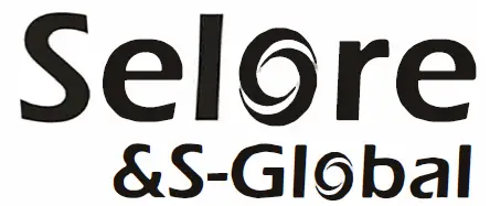 Selore S-Global SE0304 USB-C Multi-Functional HUB-LOGO