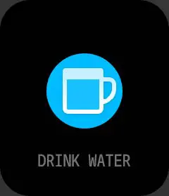 FIRE-BOLTT-BSW030-Ninja-3-Full-Touch-Smartwatch-42