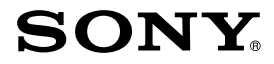 SONY logo
