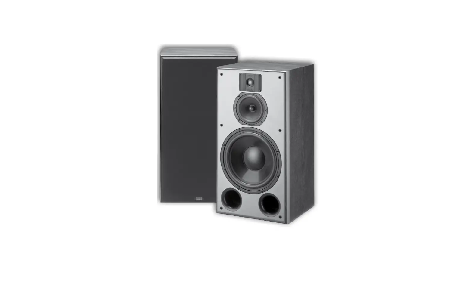 Indiana Line Dj 308 Portable Speakers Owner's Manual