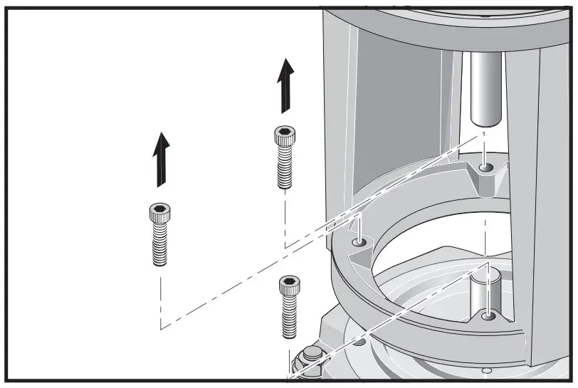 Remove the four Allen screws