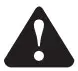 Warning Icon