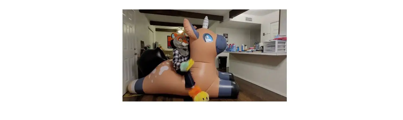 Phenodtoy Honey Poof Inflatable Folding Instructions