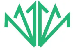 Feedback Modes button Icon