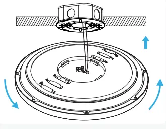 Sunco 13 Inch Pisces Night Light - fig24