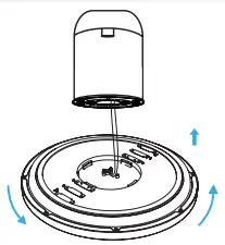 Sunco 13 Inch Pisces Night Light - fig35