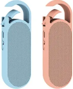 Shenzhen Doageas Technology BT01 Bluetooth Speaker