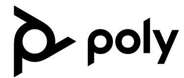 poly logo